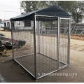 Métal extérieur grand chenil de chien de cage pour animaux de compagnie